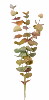 Mr Plant Kunstig Kvist Eucalyptus Høstfarger_H60 (260-9953-96)