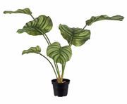Mr Plant Kunstig Plante Calathea H55cm (260-2139-95-1)