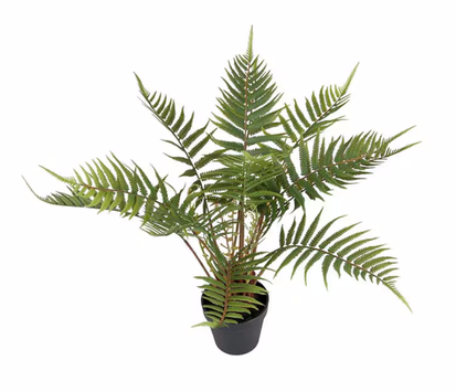 Mr Plant Kunstig Plante Ormbunke H50cm