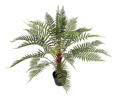 Mr Plant Kunstig Plante Ormbunke H80cm