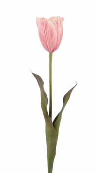 Mr Plant Kunstig Tulipan Rosa 58cm (260-2963-22)