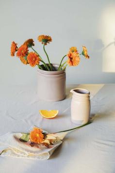 UND Legacy Krukke Soft-Rose (636-15952)