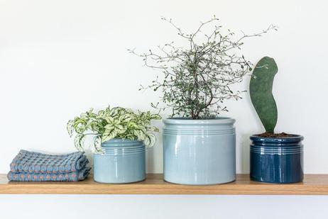 UND Legacy Krukke Isblå (636-15484)