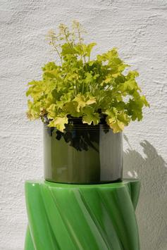 UND Legacy Krukke Furu  (636-legacy-krukke-furu)