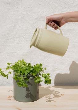 UND Legacy Krukke Pære (636-15511)