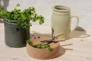 UND Legacy Mugge Pistachio H19 (636-16039)