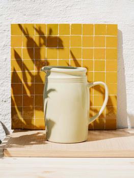 UND Legacy Mugge Pistachio H19 (636-16039)