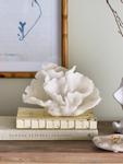 Bloomingville Rosenia Koral Polyresin 21x14x12 (152-82061388)
