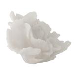 Bloomingville Rosenia Koral Polyresin 21x14x12 (152-82061388)