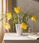 Kähler Hammershøi tulipanvase Unfold 16.5xH20.5 (521-693286)