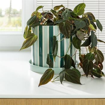 &Klevering Clash Blomsterpotte Grønn Ø23,5xH21 (712-2899-06)