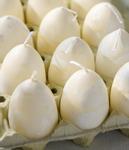 Ib Laursen Lys Eggformet H6 1stk kitt (171-78032-44)