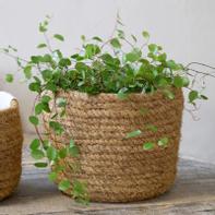 Chic Antique Kurv Kokosfiber Ø14xH18