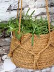 Chic Antique Kurv Kokosfiber Oppheng Ø18xH14 (529-15028400)