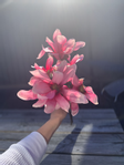 Mr Plant Kunstig gren Magnolia-Rosa H50cm (260-9665-20)