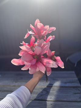 Mr Plant Kunstig gren Magnolia-Rosa H50cm (260-9665-20)