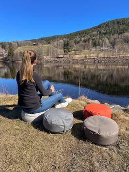 Fiam Disco Sittepute Bine-Mørkegrå Ø40 (424-101447)