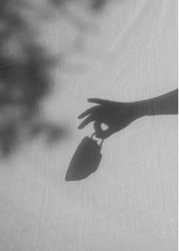 Wik & Walsøe Slåpeblom Tekopp+Skål Rosa 30cl (500-55217)