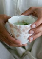 Wik & Walsøe Slåpeblom Kopper Rosa 2pk 