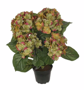 Mr Plant Kunstig Blomst Hortensia Grønn H37