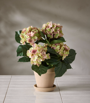 Mr Plant Kunstig Blomst Hortensia Rosa H37