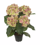 Mr Plant Kunstig Blomst Hortensia Rosa H37 (260-6871-21-1)
