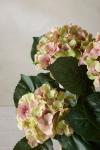 Mr Plant Kunstig Blomst Hortensia Rosa H37 (260-6871-21-1)