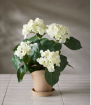 Mr Plant Kunstig Blomst Hortensia Hvit H37 (260-6871-10-1)