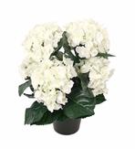 Mr Plant Kunstig Blomst Hortensia Hvit H37 (260-6871-10-1)