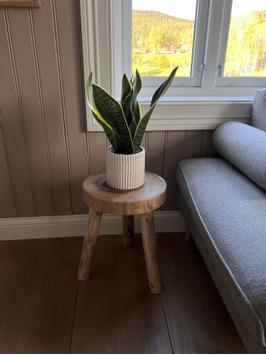 MT Studio Levanger Sidebord Tre Ø31xH40 (780-MT-1625)