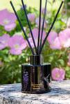 Vila Hermanos Jungle Colibri-Hummingbird Diffuser 100ml (368-02101000012)