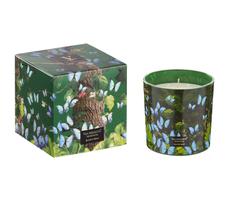 Vila Hermanos Jungle Blue-Butterfly Duftlys 200g