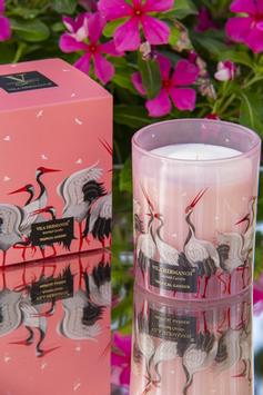 Vila Hermanos Jungle Grulla-Pink Duftlys 200g