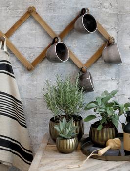 Chic Antique Knaggrekke 10-knagger