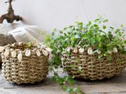 Chic Antique Kurv med skjell (529-15027100,15027200)