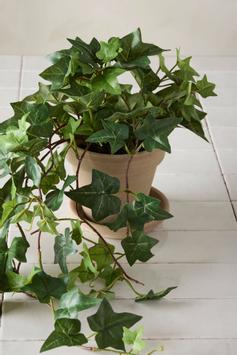 Mr Plant Kunstig Plante Eføy 60cm (260-6120-90-1)