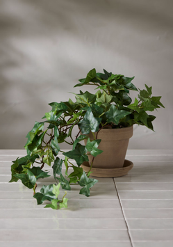 Mr Plant Kunstig Plante Eføy 60cm (260-6120-90-1)