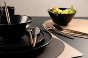 Modern House North Bestikksett Brun 16-deler (655-46202231)