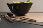 Modern House North Bestikksett Brun 16-deler (655-46202231)