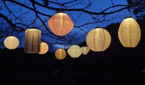 C'est Bon  Lanterne Solcelle Ellipse Grå H20 (724-CB431.997.02)