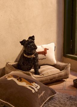 Lexington Hundeseng Checked stone-beige (588-10008200)