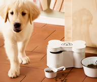 Ib Laursen Boks til godbiter Hund (171-04891-11)