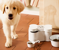 Ib Laursen Boks til godbiter Hund