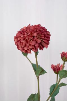 Specktrum Kunstig Blomst Dahlia-Sunset H80 (625-8034)