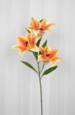 Specktrum Kunstig Blomst Lilje-Amber H100 (625-8019)