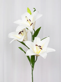 Specktrum Kunstig Blomst Lilje-Hvit H100 (625-8018)