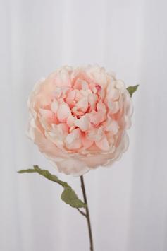 Specktrum Kunstig Blomst Peon-Lyserosa H62 (625-8030)