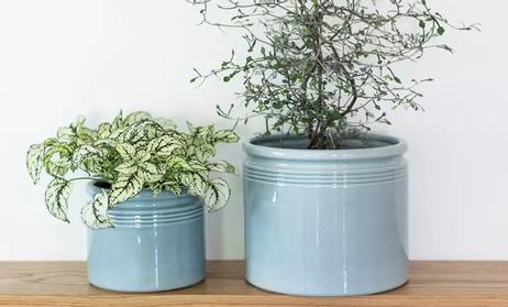 UND Legacy Krukke Isblå