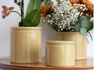 UND Legacy Krukke Sennep  (636-15754)