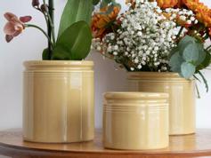 UND Legacy Krukke Sennep 